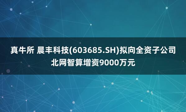 真牛所 晨丰科技(603685.SH)拟向全资子公司北网智算增资9000万元