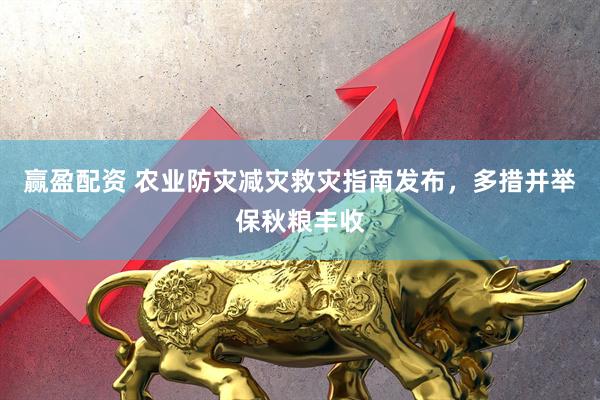 赢盈配资 农业防灾减灾救灾指南发布，多措并举保秋粮丰收