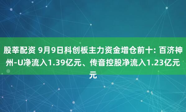 股莘配资 9月9日科创板主力资金增仓前十: 百济神州-U净流入1.39亿元、传音控股净流入1.23亿元