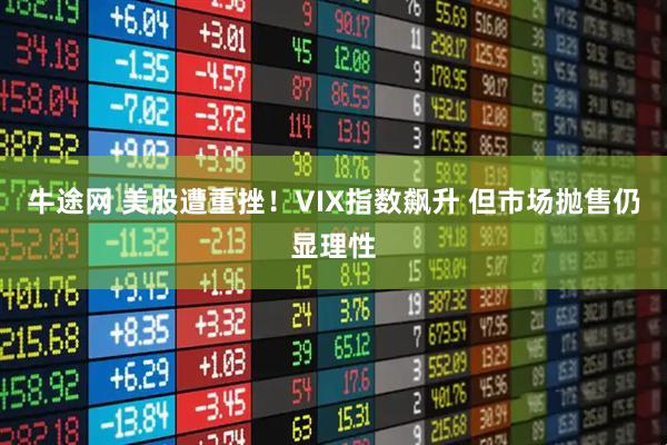 牛途网 美股遭重挫！VIX指数飙升 但市场抛售仍显理性